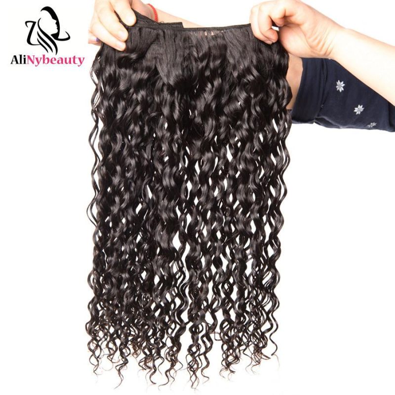 Brazilian Human Hair Water Wave Hair Bundles with Lace Closure