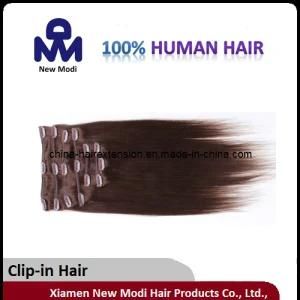 Cheap 100% Virgin Human Clip in Hair Extensions