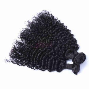 100% Brazilian Deep Curly Virgin Human Hair