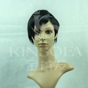 100% Human Hair Wigs
