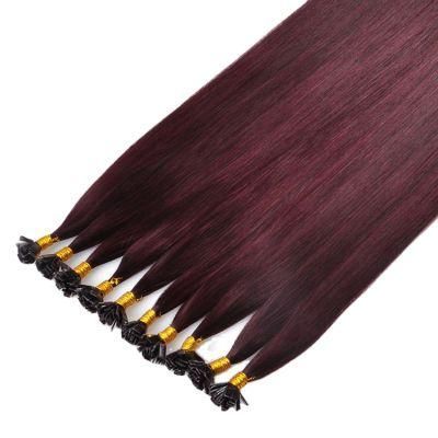 Wholesale High Quality Flat/I/U/V/Nano/Micro-Tip Human Extensions.