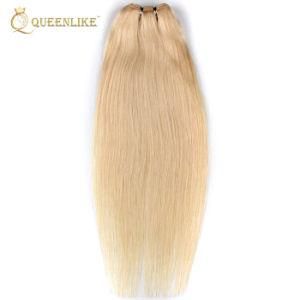 Raw Unprocessed Virgin Brazilian Cuticle Aligned Human Hair