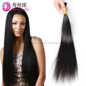 Best Xuchang Hair Factory Quality Dyeable Cambodian Bulk Human Hair Virgin Silky Straight for Braiding