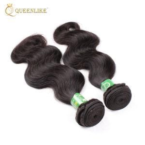 Cuticle Aligned Wholesale Brazilian Remy Human Hair Extensions