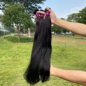 Hair Bundle Hair Vendors Free Sample Hair Bundle Raw Virgin Cuticle Aligned Hair Human Hair Weave