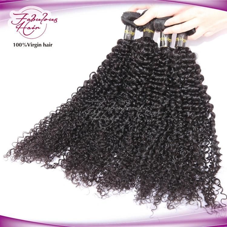 Indian Kanekalon Braid Hair Kinky Curly Remy Human Hair Weave