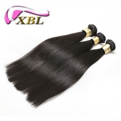 Xbl Brand Luxury Virgin Raw Brazil Straight Hair