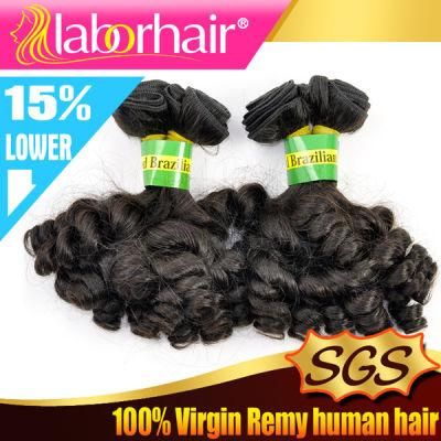 100% Human Hair Brazilian Unprocessed Fumi Curly Hair Extension Lbh 166