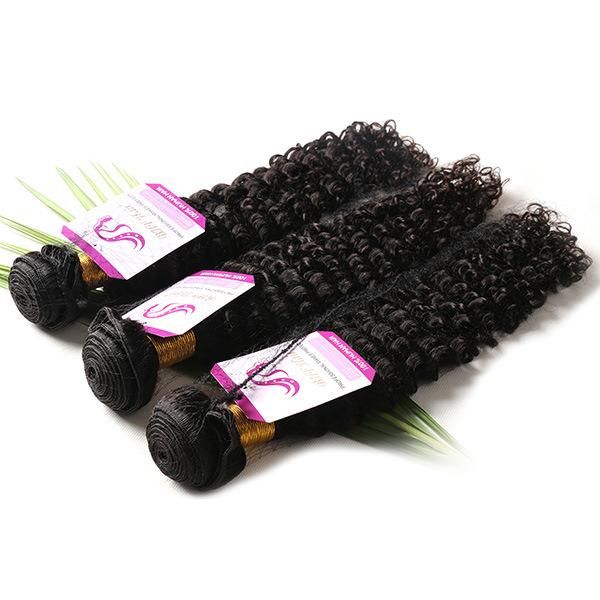 Brazilian Afro Kinky Curly Virgin Hair 3 Bundles 7A Brazilian Virgin Hair Curly Hair Wet and Wavy Ombre Human Curly Hair Weave