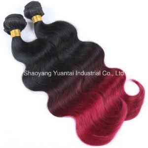 Processed Virgin Human Hair Weft (Weaving) Extension