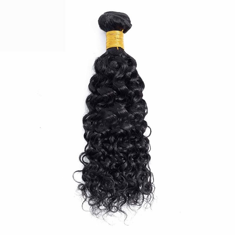 Wholesale Price Hair Water Curls Double Weft Brazilian Natural Extension
