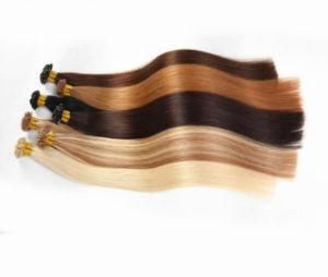 100% Indian Remy Hair Extensions (E-043)