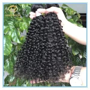 Top Quality Large Stock Natural Color Jerry Curly Brizilian Virgin Hair with Factory Price Wf-004