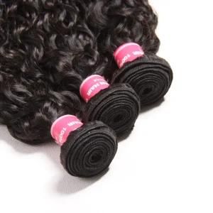 Water Wave Human Hair Wet and Wavy Virgin Hair Bundles Extension