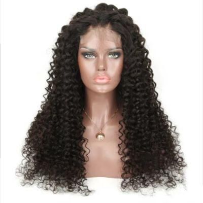 13X4 Brazilian Curly Lace Front Human Hair Wigs Front Lace Wigs with Baby Hair Preplucked Natural Hairline Riisca Remy Hair