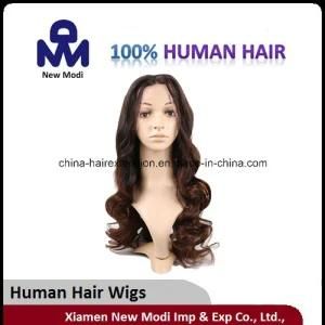 Virgin Hair Fashion Human Hair Lace Wig