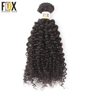 Raw Virgin Indian Cuticle Aligned Wholesale Kinky Curly Human Hair