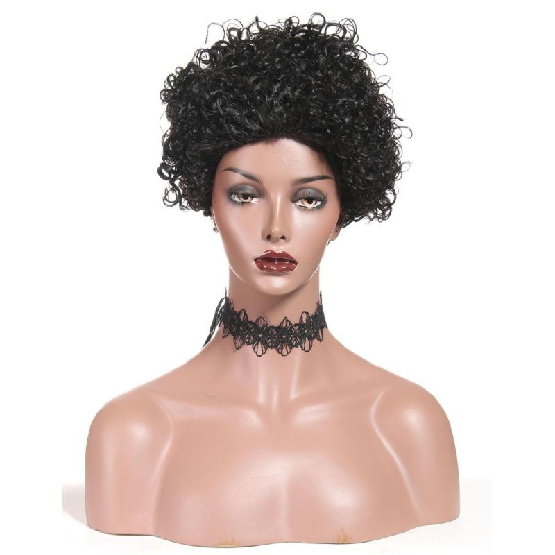Short Curly Human Hair Wigs for Black Women 100% Brazilian Short Human Hair Wig