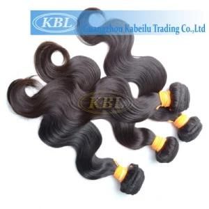 Bohemian Wet and Wavy Ombre Colored Indian Remy Hair Weave
