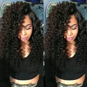 Top Quality Full Lace Human Hair Wig Kinky Curl Lace Wig
