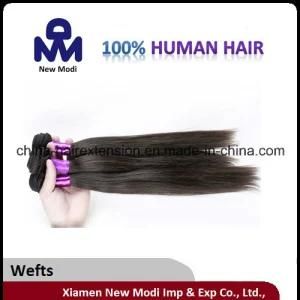 Straight Brazilian Hair No Lice Weft Human Hair