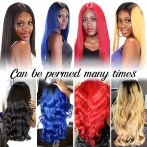 100% Human Virgin Hair Straight Colourful Wigs Supplier Full Lace Wig/Lace Front Wig