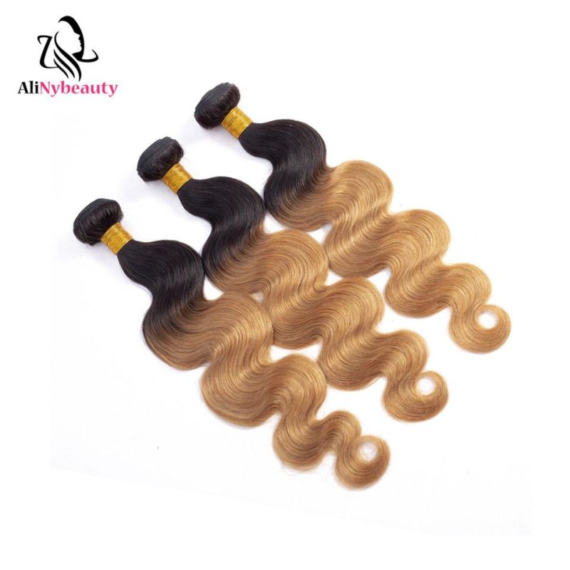 Alinybeauty Peruvian Virgin Human Hair Weave Body Wave Color 1b/27