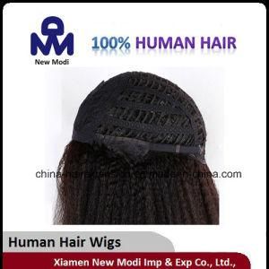 Lady Wig No Lice Brazilian Hair U Part Lace Wig