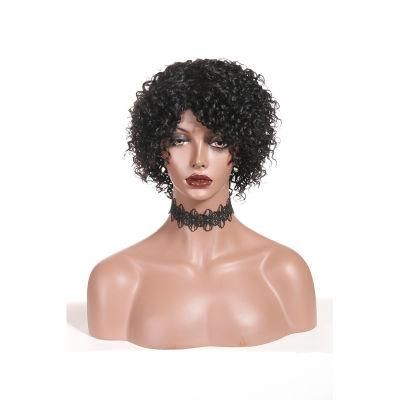 Short Curly Wigs Lace Front Human Hair Wigs for Black Women