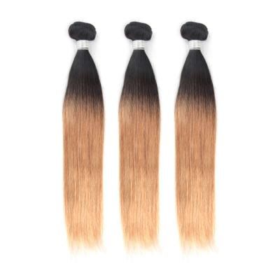 Ombre Silky Straight Human Hair Bundles Hair Weft #T1b/27