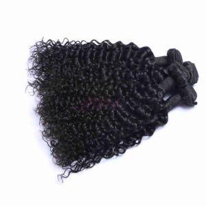 Brazilian Deep Curl Remy Hair Extensions with Lace Closure