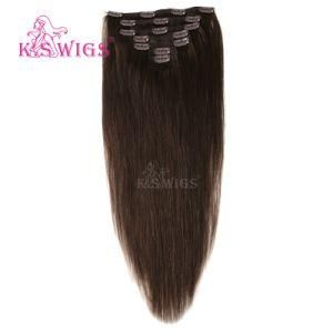 Clip in Hair Remy Brazilian Hair Virgin Human Hair Extension