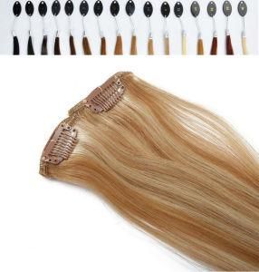 7A Remy Hair Honey Blonde Clip in Hair Extension