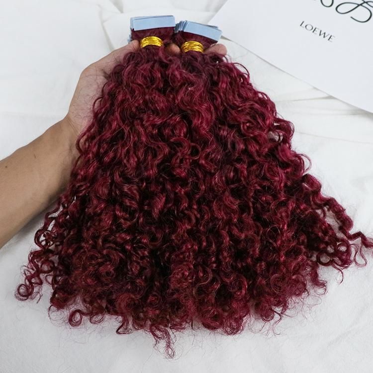 Wholesale Cuticle Aligned Kinky Curly Virgin Unprocessed Human Hair Extension