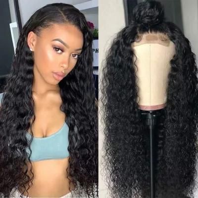 Water Wave Water Wave Lace Front Mink Wig Woman Raw Hair