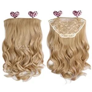 Fashion Long Wavy Synthetic Hair Single Clip in Extension