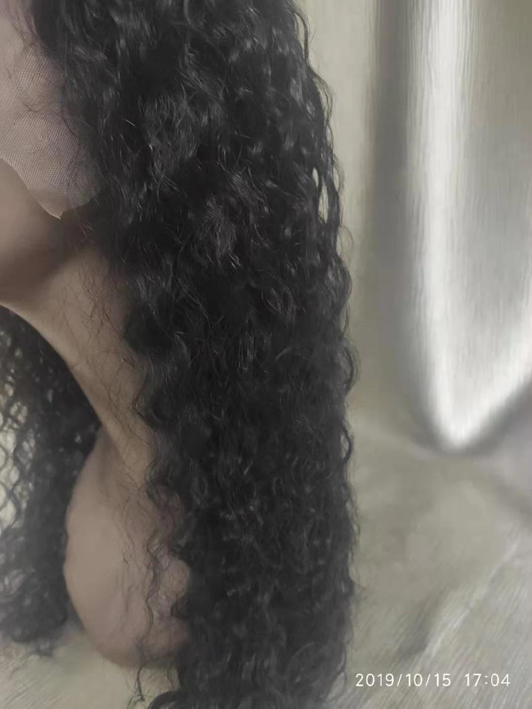 Raw Virgin Indian Human Hair Lace Wig