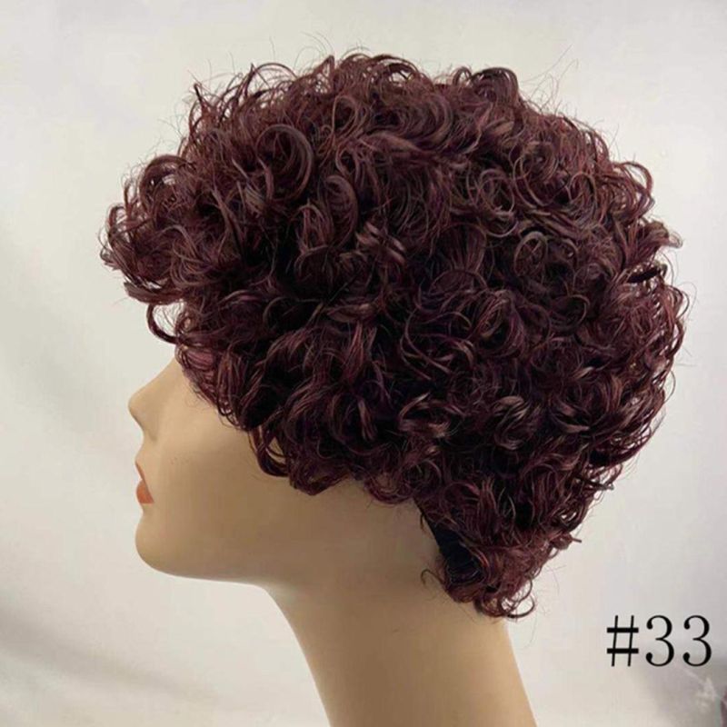 Curly Wig Human Hair Honey Blonde Human Hair Wigs Pixie Short Wigs Human Hair 150 Remy Brazilian Hair Wig