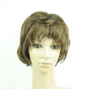 100% Human Hair Full Lace Wigs