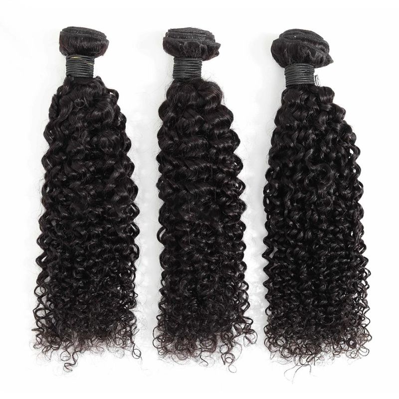 Wendyhair Kinky Curly Virgin Weaving Indian Human Hair