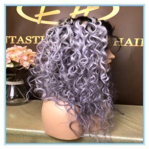 High Quality Hot Sales Omber Grey Color Human Hair Silk Base Lace Wigs with Factory Price Wig-053
