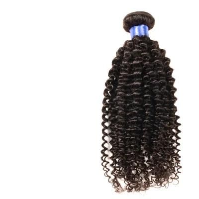 Brazilian Curly Virgin Hair 4 Bundles Brazilian Deep Wave 8A Unprocessed Soft 100 Human Hair Virgin Brazilian Hair Weave Bundles