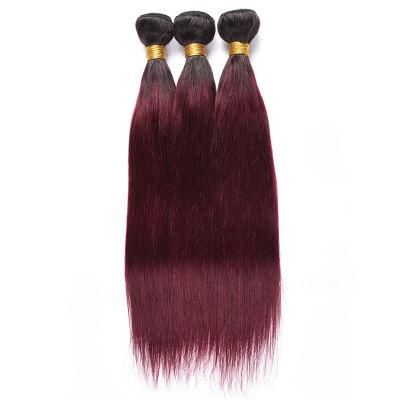 Silky Straight 100% Brazilian Hair Bundles Wholesale Hair Extensions #T1b/99j