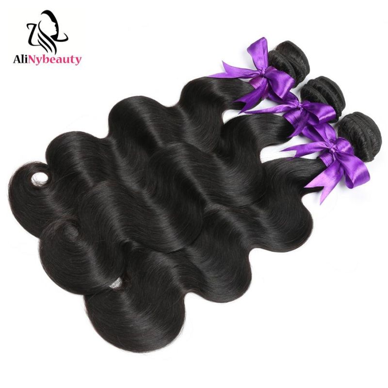 Alinybeauty Brazilian Hair Weave Bundles with Lace Frontal Hair Extension