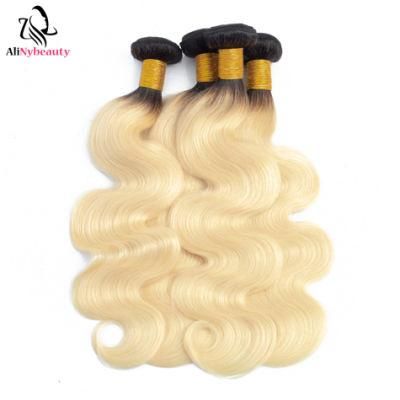 T1b/ 613 Body Wave Double Drawn Human Hair Weft