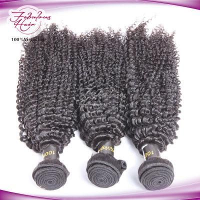 Peruvian Kinky Curly Remy Hair Weave