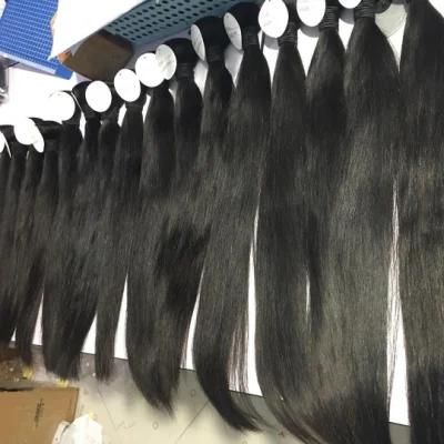 Wendyhair Unprocessed Virgin/Remy Brazilian/Indian Human Hair