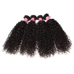 Brazilian Human Hair Curl Virgin Hair Weave Bundles