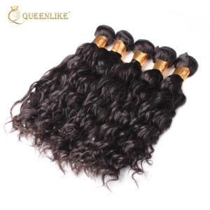 Virgin Brazilian Vendors Cuticle Aligned Water Wave Human Hair