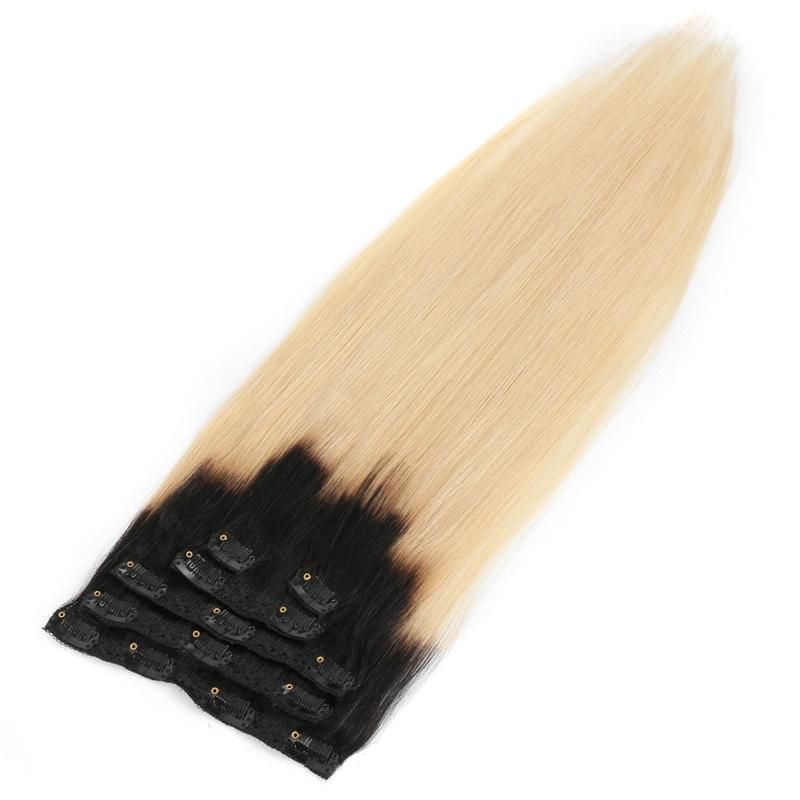 Wholesale 100% Russian Human Remy Clip in Hair Extensions